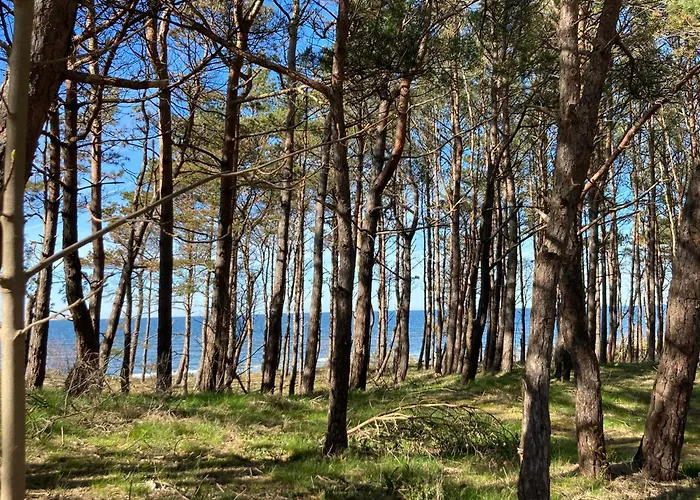 Lazur Wellness@SpaPensjonat